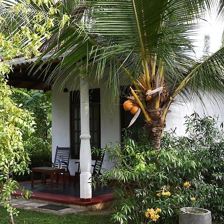 Bay Hill Guest House Tangalle Eksteriør bilde