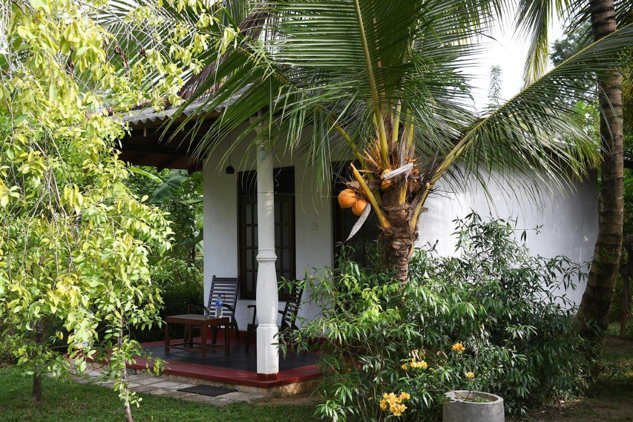 Bay Hill Guest House Tangalle Eksteriør bilde