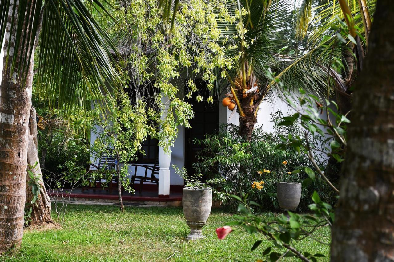 Bay Hill Guest House Tangalle Eksteriør bilde