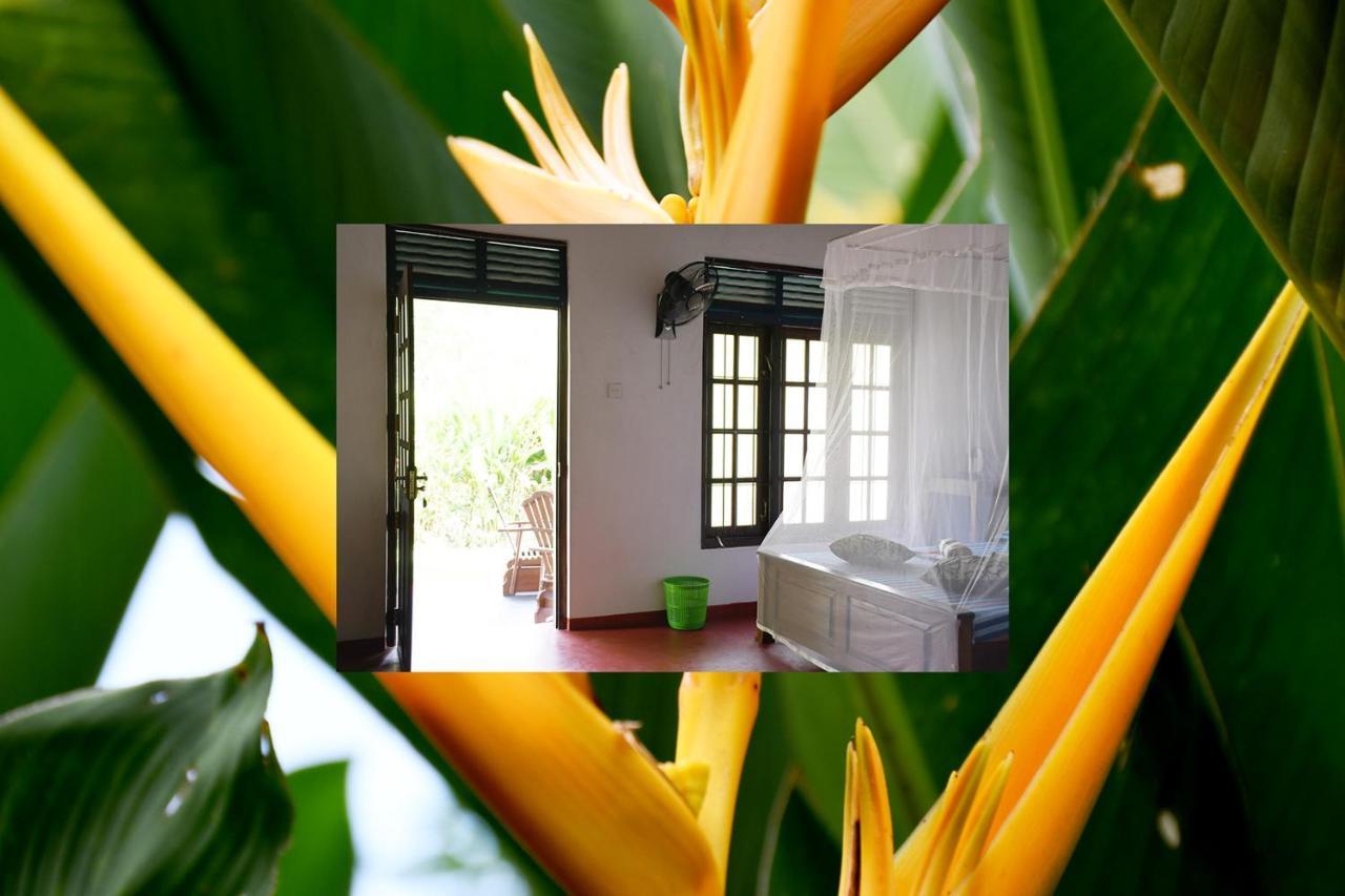 Bay Hill Guest House Tangalle Eksteriør bilde