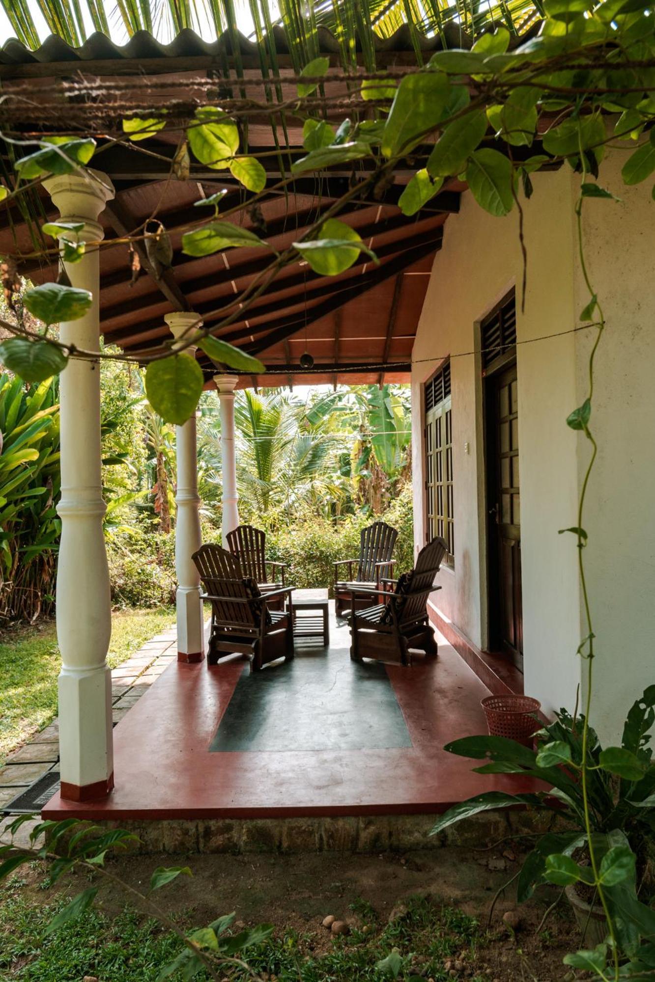 Bay Hill Guest House Tangalle Eksteriør bilde