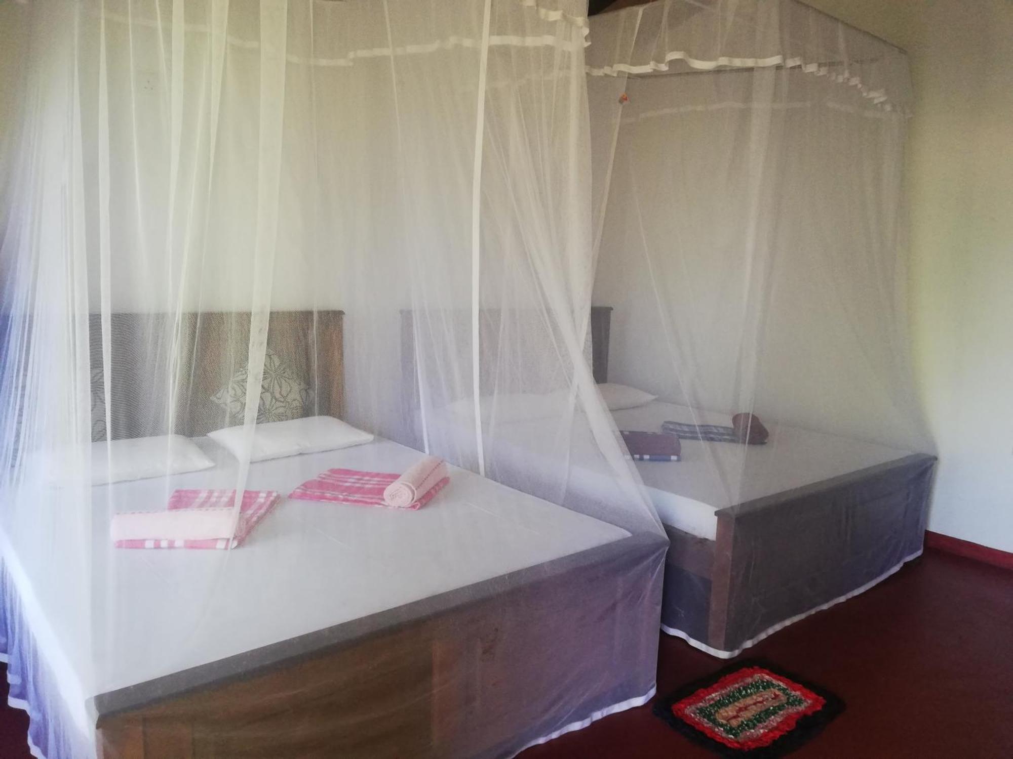 Bay Hill Guest House Tangalle Rom bilde